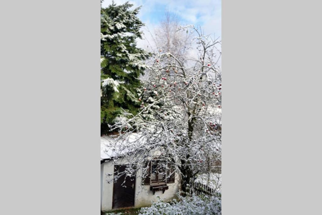 Landhaus Haid Presseck ภายนอก รูปภาพ